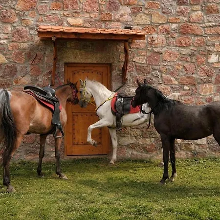 Lugina E Kuajve